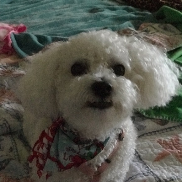 Meet your Posher, Melanie - Picture 3 of 4